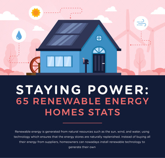 80 Renewable Energy Statistics (Infographic)